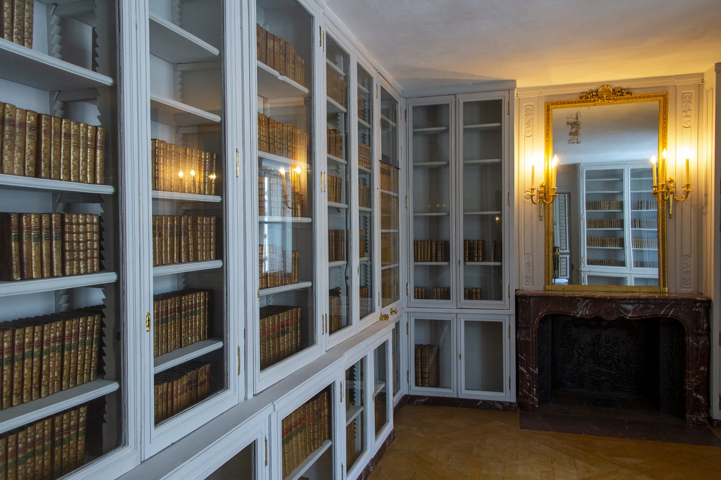 Société des Amis de Versailles - Photo de l'objet