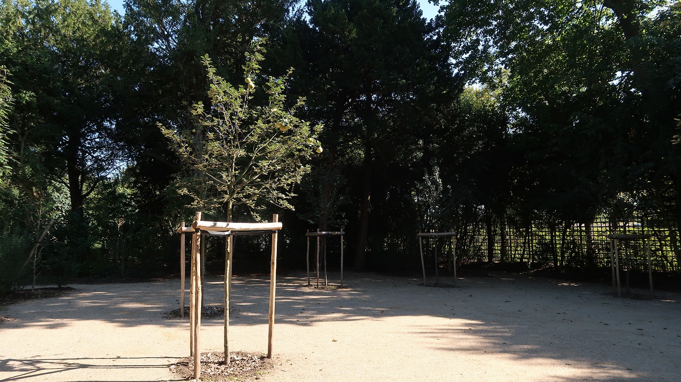 Société des Amis de Versailles - Photo de l'objet