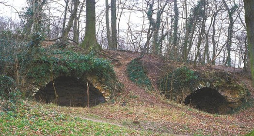 Noisy-le-Roi et Bailly Les vestiges du château des Gondi