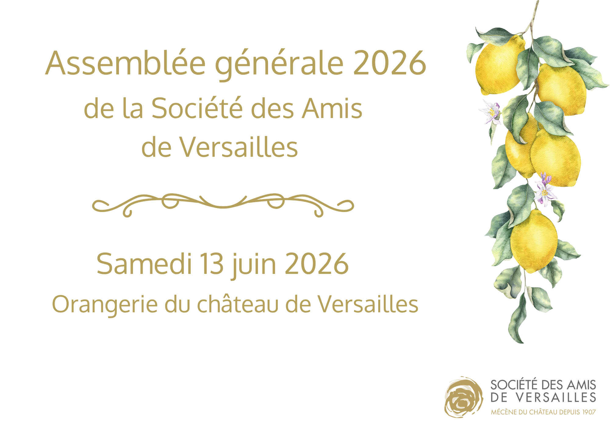 Assemblée Générale 2026 - Présence