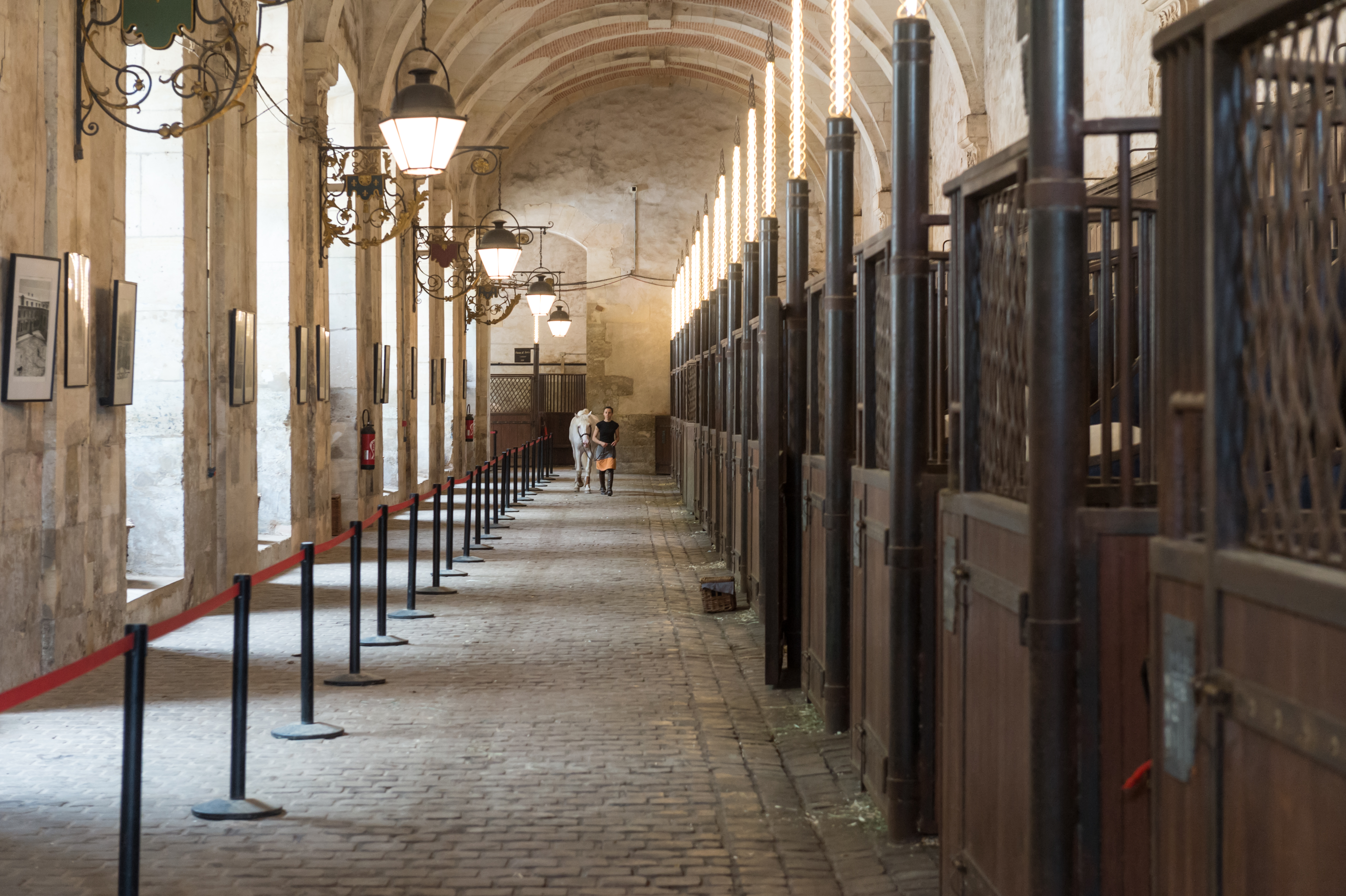 Les coulisses de l'Académie équestre