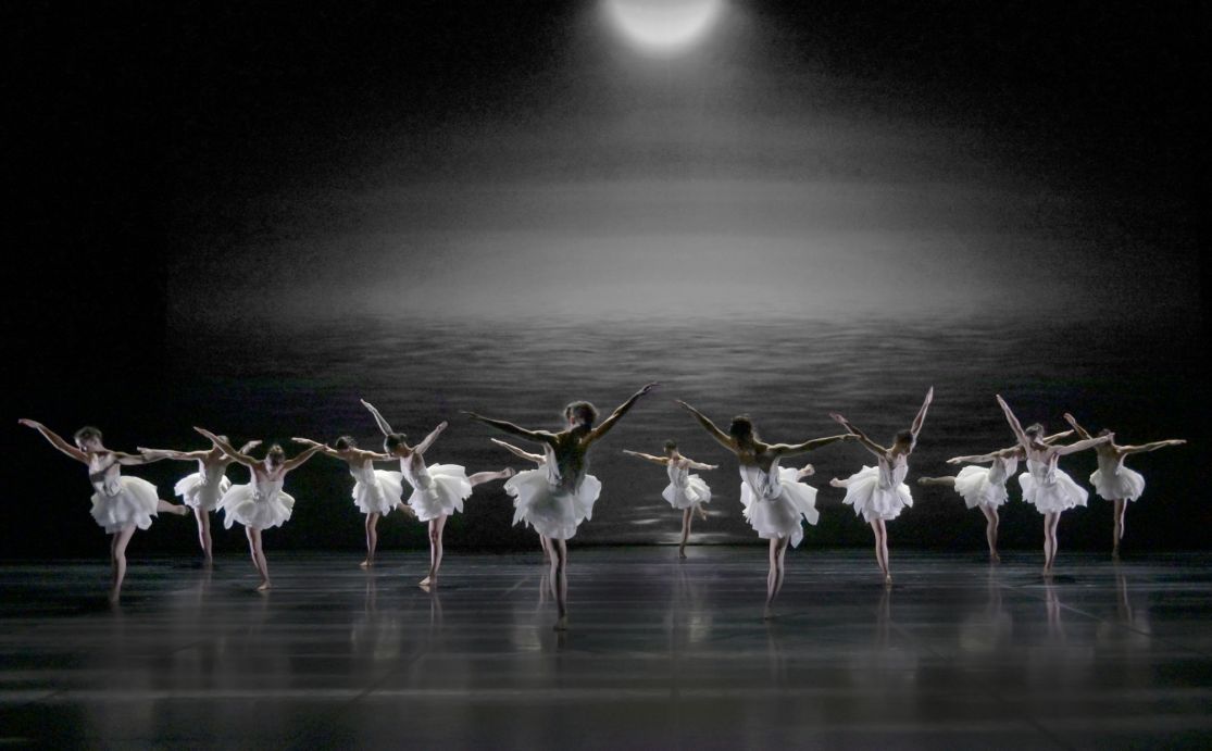 Le Lac des Cygnes