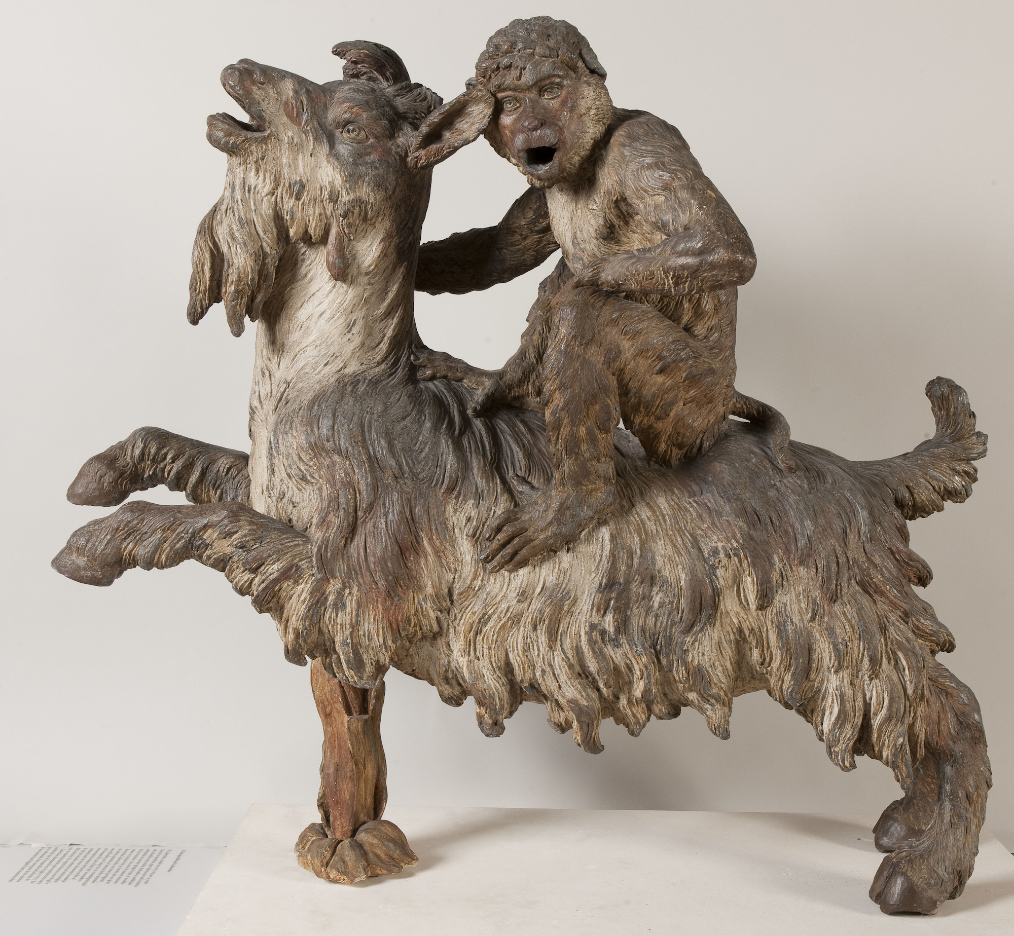 Exposition : "Les animaux du Roi"