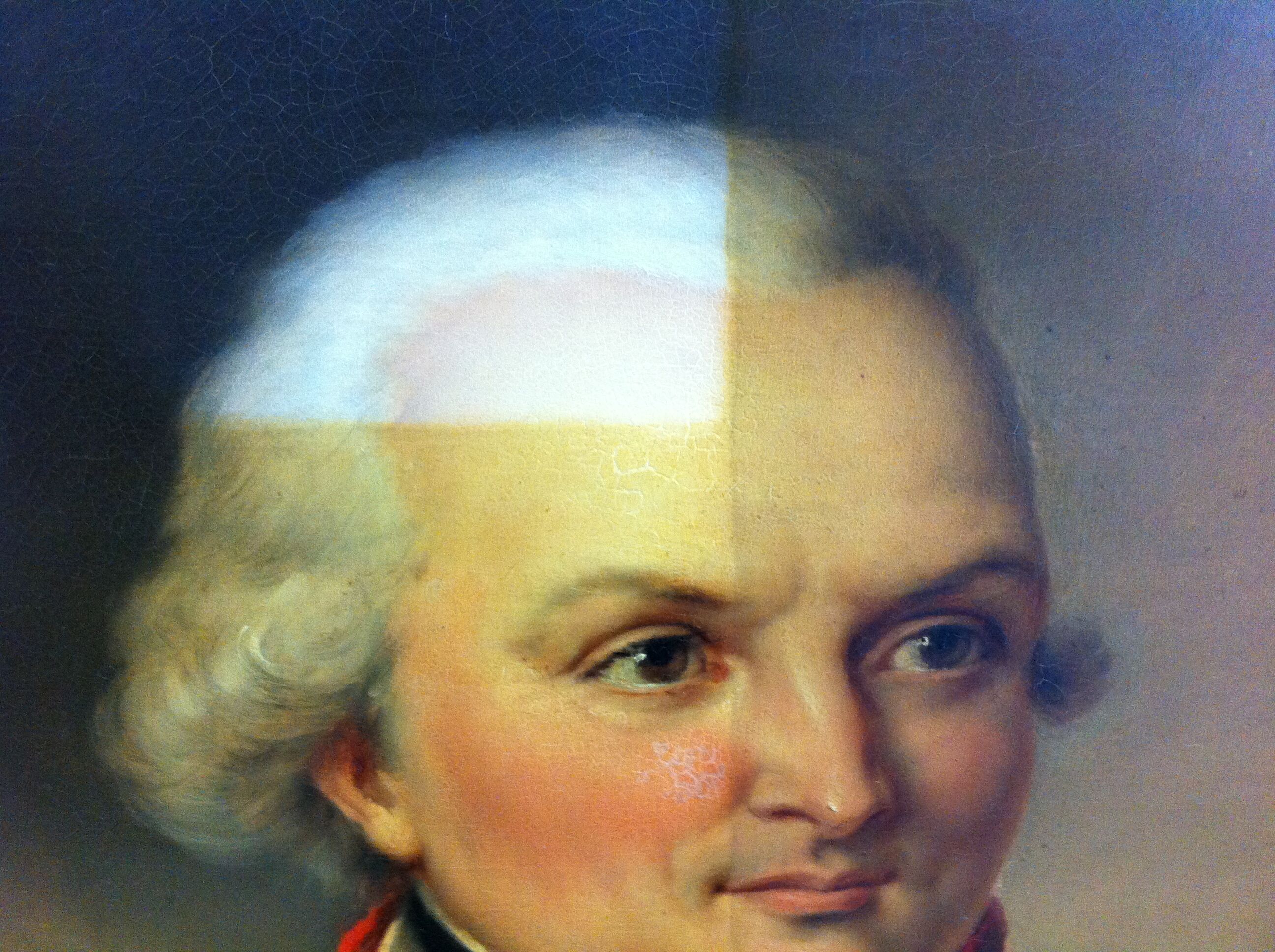 VISIOCONFERENCE Portrait de spécialiste : conserver le patrimoine à Versailles